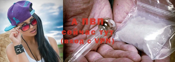 прущие крисы Армянск